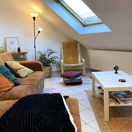 Appartamento 10Min Bus Strasbourg Centre-Parking Prive-Wifi-Tv Bischheim Esterno foto