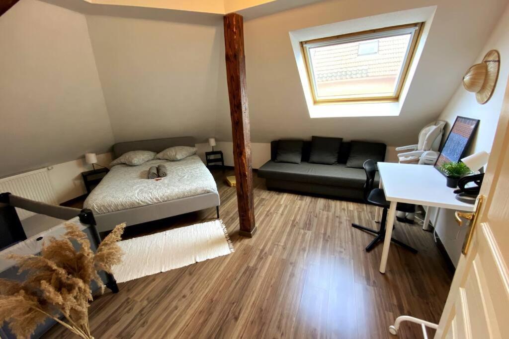Appartamento 10Min Bus Strasbourg Centre-Parking Prive-Wifi-Tv Bischheim Esterno foto