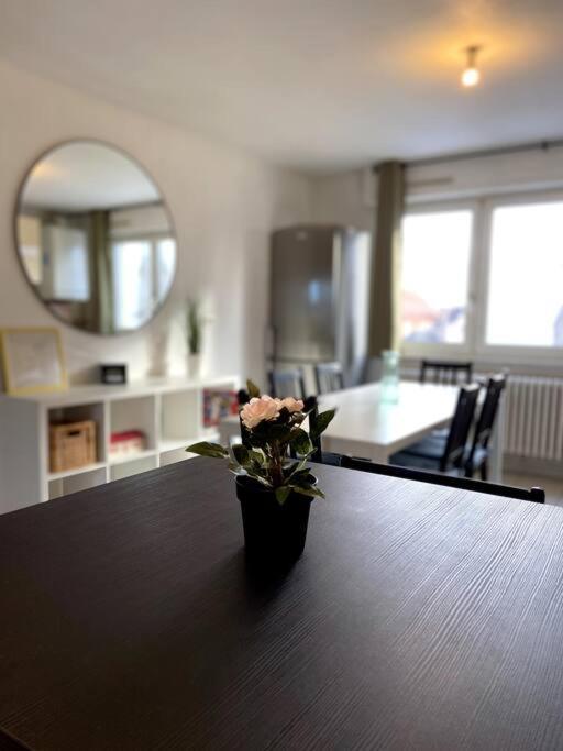 Appartamento 10Min Bus Strasbourg Centre-Parking Prive-Wifi-Tv Bischheim Esterno foto